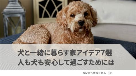 ハッピー ハウス 犬: 犬と幸せに暮らすための包括的なガイド