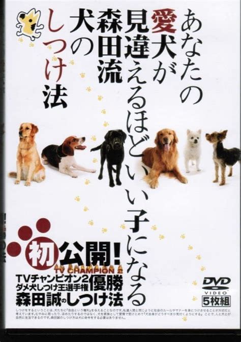 ハルッタジャパンであなたの愛犬を快適に