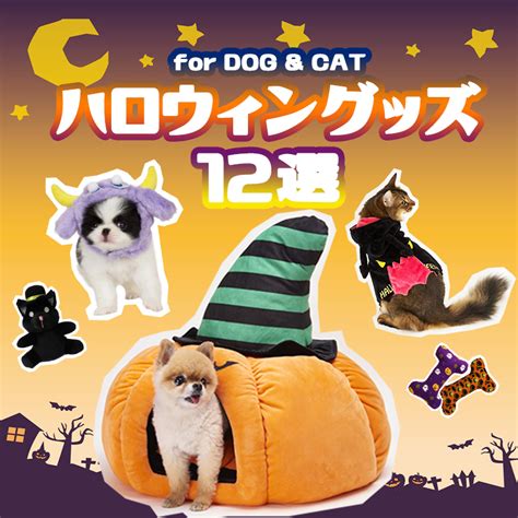 ハロウィンを愛犬と楽しむための徹底ガイド