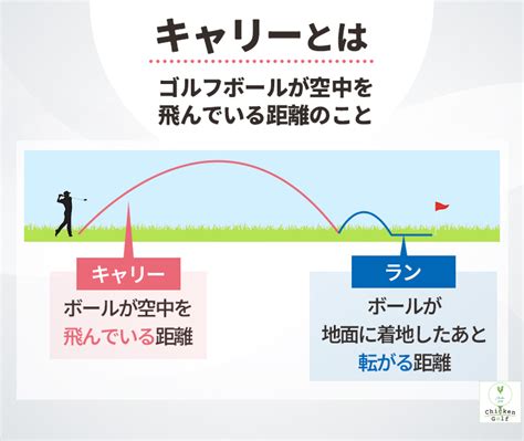 ハードキャリーとは何か？そのメリットと役立ち方