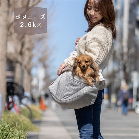 ハーネスで愛犬を可愛くお出かけしよう