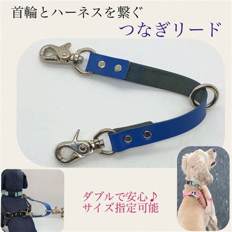 ハーネスと首輪をつなぐ: 愛犬との絆を深めるためのガイド