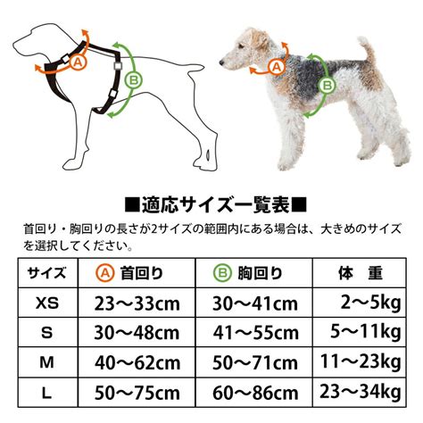 ハーネスのサイズを決定する重要な要素