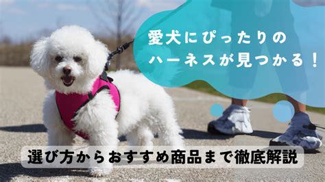 ハーネスの選び方: 愛犬の安全と快適性を確保する