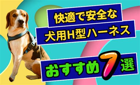 ハーネスの選び方：快適で安全な散歩を実現するためのガイド