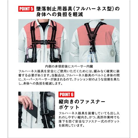 ハーネス人気が急上昇！用途とメリットを徹底解説