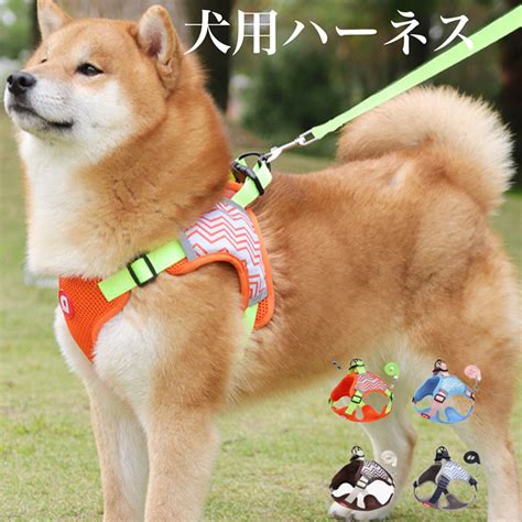 ハーネス犬小型犬