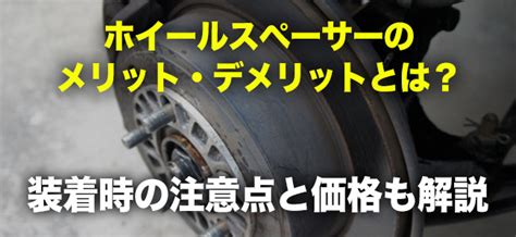 ハーネス装着の継続、そのメリットとデメリット