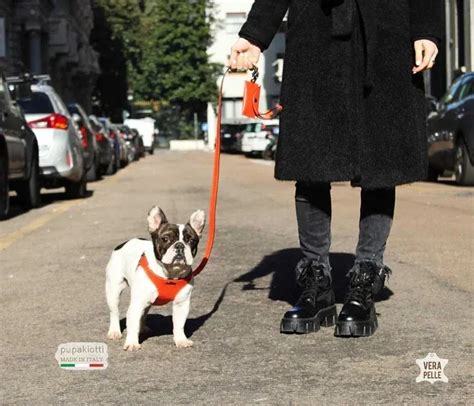 ハーネス レザー 犬: 愛犬との快適で安全な歩行のための究極のガイド