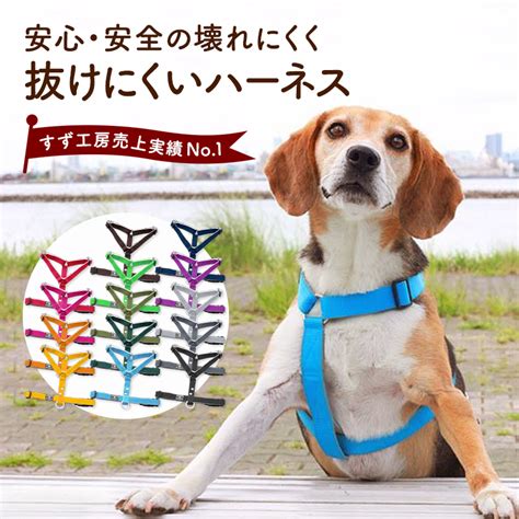 ハーネス 付け方 犬