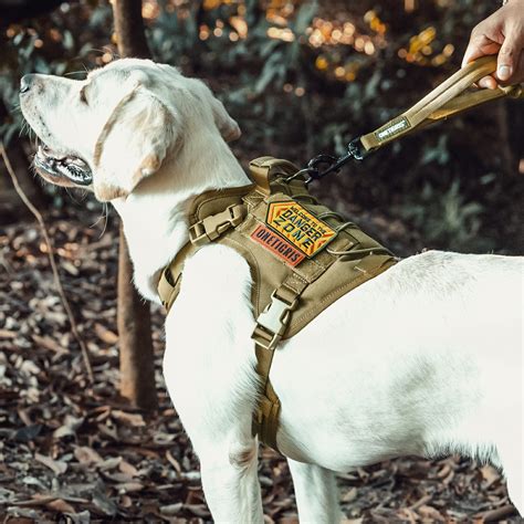 ハーネス 大型犬