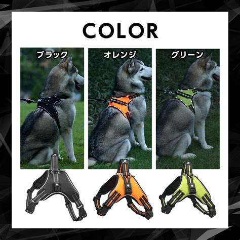 ハーネス 大型犬：快適で安全な歩行体験を叶えるガイド