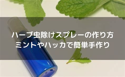 ハーブで作る、防虫スプレーの作り方