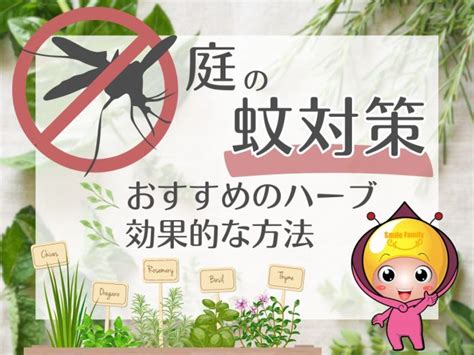 ハーブで蚊対策！天然の有効活用法を徹底解説