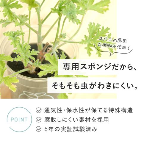 ハーブによる蚊除け