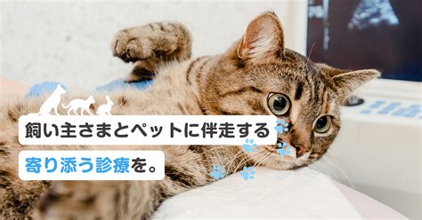 ハーモニー動物病院：ペットと飼い主のための優しさに満ちた環境