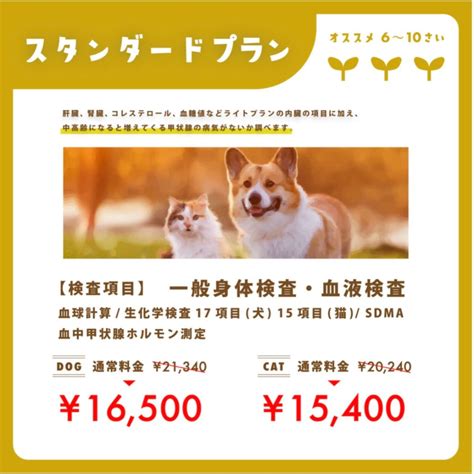 バウミュウ動物病院で愛犬の健康を守ろう！