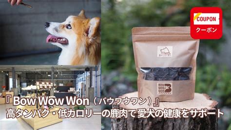 バウワウ動物病院であなたの愛犬の健康を最優先！