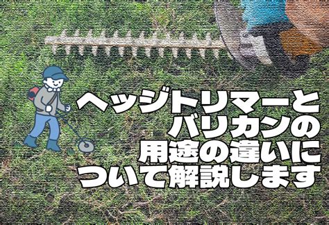 バリカンとトリマーの違いってなに？賢い選び方の秘訣教えちゃいます！