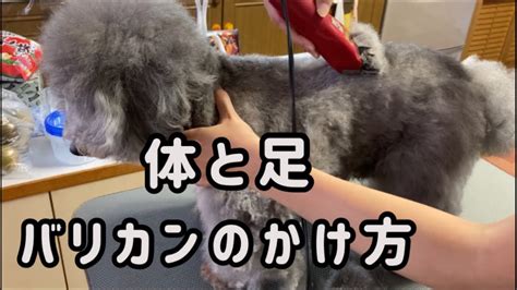 バリカン 使い方 犬