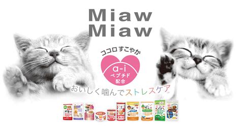 パウチで愛猫の健康をサポートしよう！完全栄養食のメリットと選び方