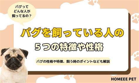 パグ 10kgを徹底解説！健康管理からダイエット法まで