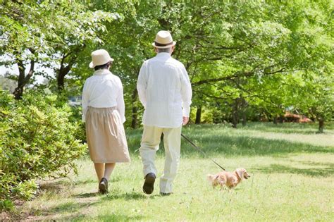 パピヨンと散歩：健康で幸せな時間を過ごすための完全ガイド