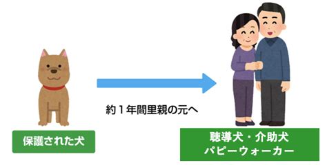 パピーウォーカー: 命を救い、コミュニティに貢献する