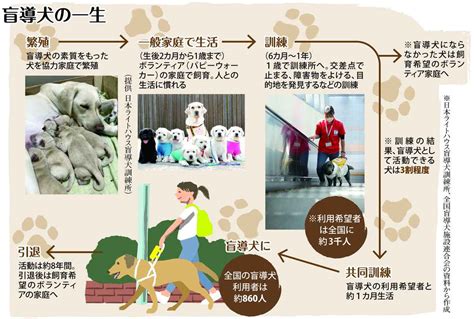 パピーウォーカーとは：盲導犬の育成を支える無償ボランティア