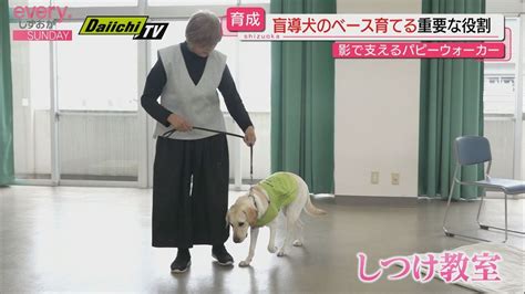 パピーウォーカー：将来のセラピー犬を育てるやりがいのある役割