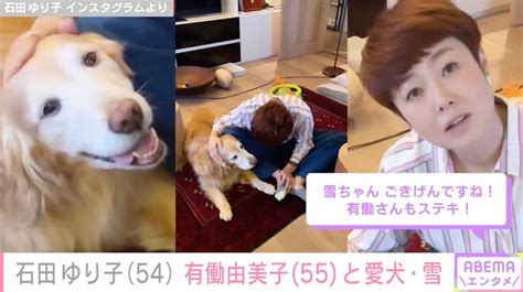 パピーホームで愛犬を幸せに過ごさせるための完全ガイド