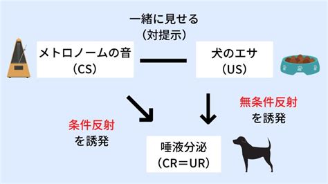 パブロフの法則とは何ですか？