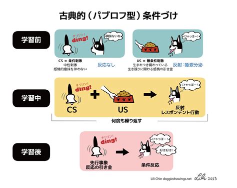 パブロフの法則：条件付け学習の原理と応用