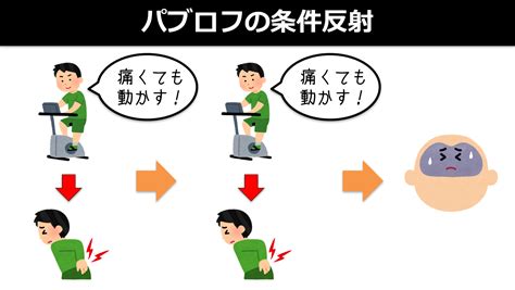 パブロフの法則：条件反射に基づく学習