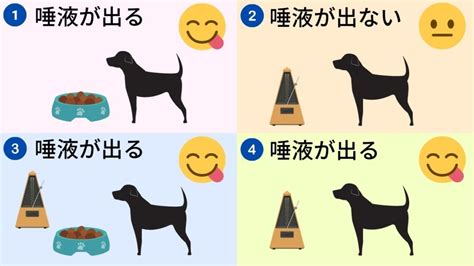 パブロフの犬とは何か？