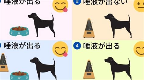 パブロフの犬の使い方