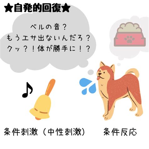 パブロフの犬を使ってみよう！条件付けを使って行動を制御する方法