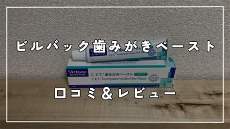 ビルバック 歯磨き ペースト 口コミ：効果を徹底検証