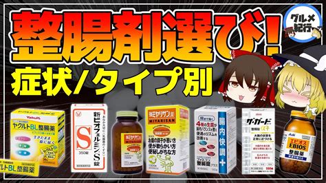 ビワドッグ：究極の整腸剤のガイド