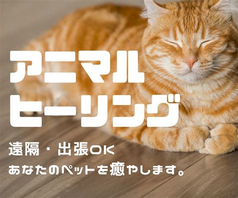 ピア動物クリニックであなたのペットの健康と幸福を維持しましょう。