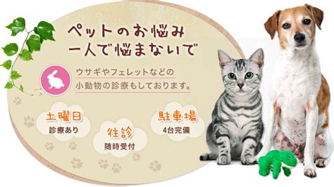 ピア動物クリニック：あなたのパートナーの健康を最優先する