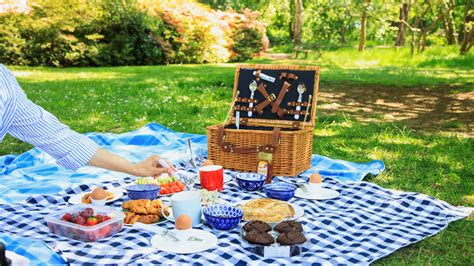 ピクニックランドのすべて: 完璧な屋外体験ガイド