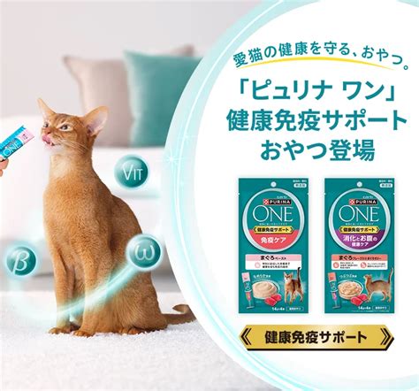 ピュリナ猫で愛猫の健康と幸せを守る