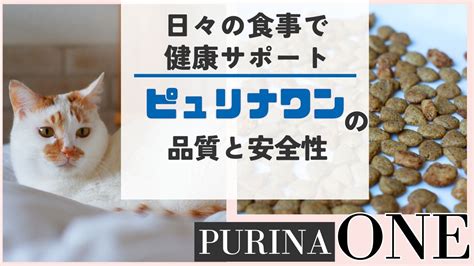 ピュリナ猫フード：愛猫の健康と幸せのためのガイド