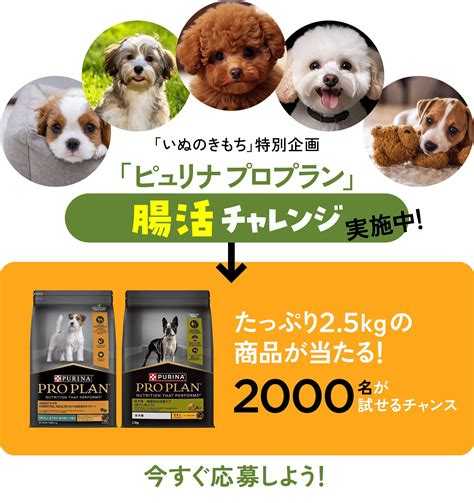 ピュリナ お試しで愛犬の健康サポートを体験しよう！