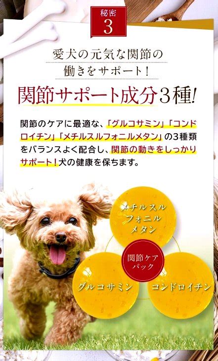 ピュリナ ドッグフードで愛犬の健康と幸福をサポートする