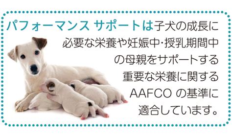 ピュリナ プロ プランで愛犬の健康をサポートしよう