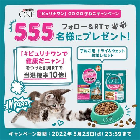 ピュリナ ワン キャンペーン: あなたの愛猫にふさわしい栄養を