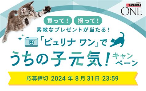 ピュリナ ワン キャンペーンでペットの健康を維持する：包括的なガイド