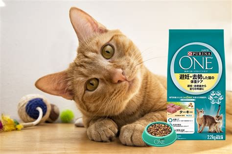 ピュリナ ワン 猫フード：徹底評価ガイド